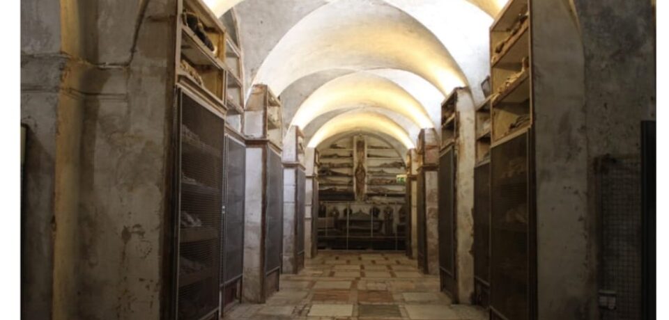 Nasce il nuovo sito delle Catacombe dei Cappuccini di Palermo